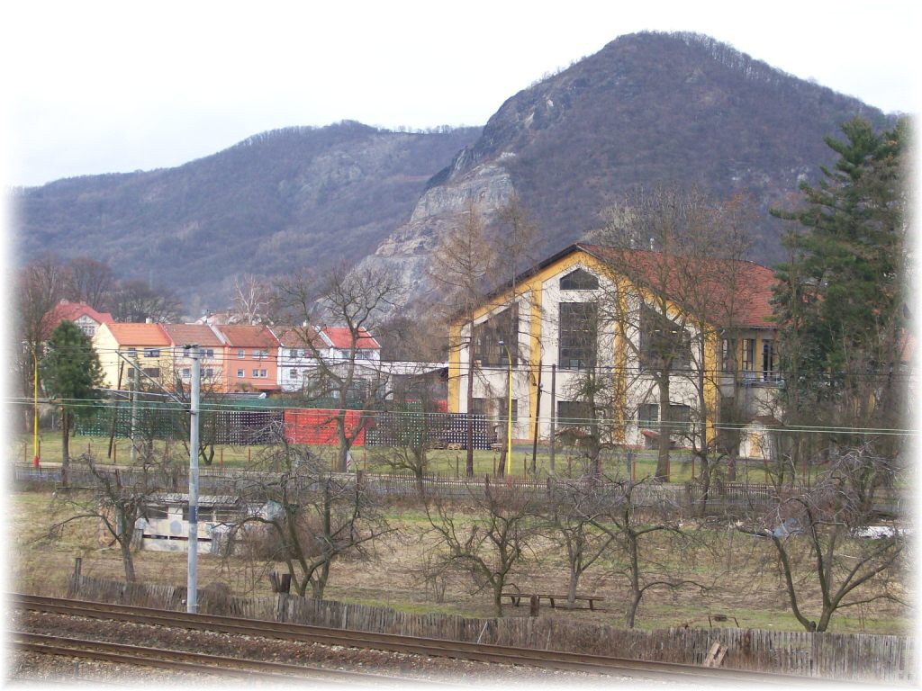 100_0705.JPG